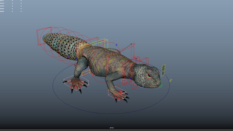 Uromastyx Lizard Maya Rig