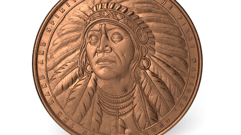 Spirit of the Great Plains - Buffalo Warrior Medallion