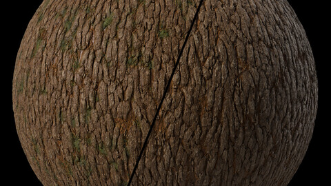 Wood Materials 41- Bark | Seamless PBR 4k