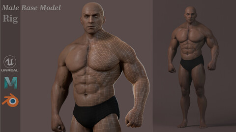 Male Base Muscle Rig