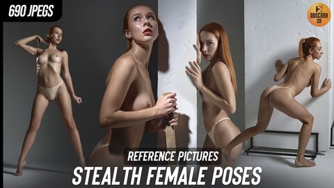 690 Stealth Female Poses