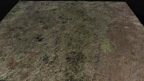 landscape grass field large area 150m part6 drone scan