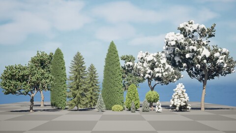 Conifer 3D Pack High-Quality