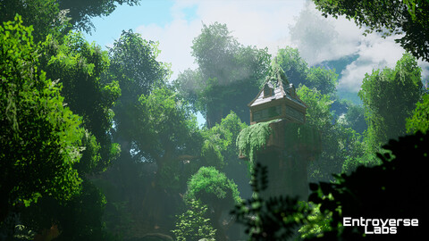 Whispering Grove Environment