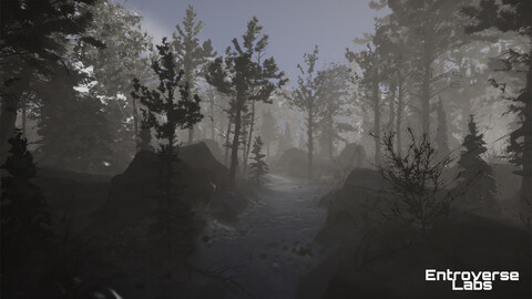 Taiga Biome Environment ( Boreal Forest , Frozen Wood )