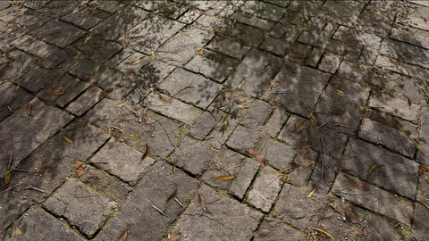 Stone Floor- Substance Designer