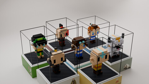 Voxel Pack Avatar Isometric