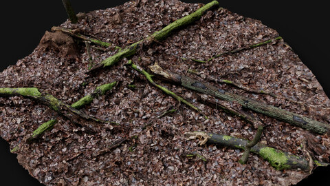 forest ground trees branches debris pt2 photogrammetry