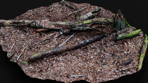 forest ground tree mossy branches debris pt4 photogrammetry