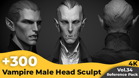 +300 Vampire Male Head Sculpt Reference Images(4k)