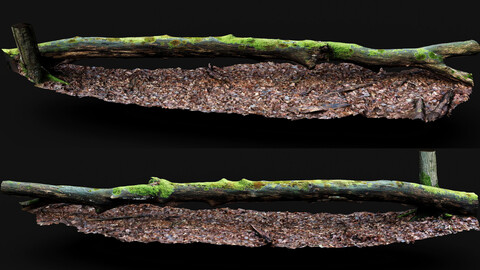 forest ground tree mossy branches debris pt5 photogrammetry