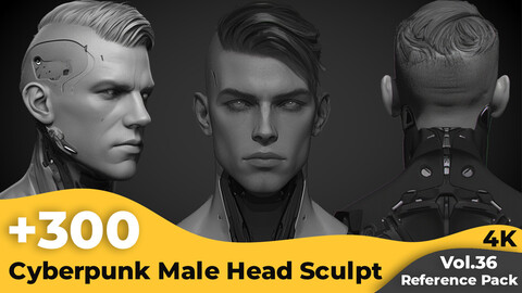 +300 Cyberpunk Male Head Sculpt Reference Images(4k)