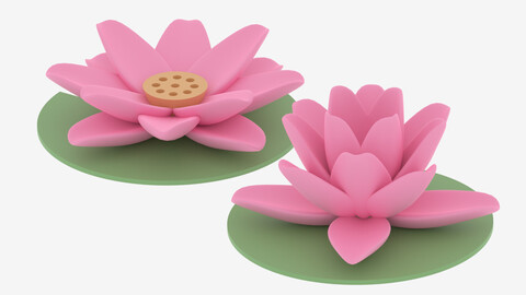 Cartoon Lotus Water Lily 3D model