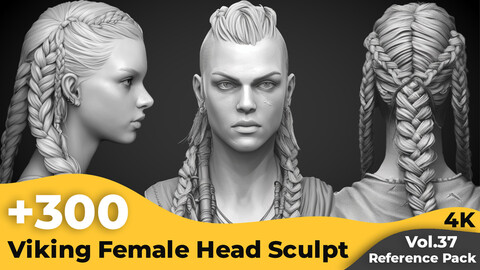 +300 Viking Female Head Sculpt Reference Images(4k)