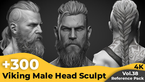 +300 Viking Male Head Sculpt Reference Images(4k)