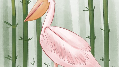 Pelican