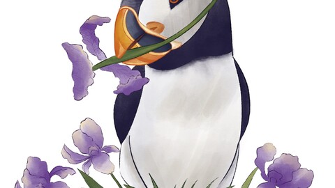 Puffin bird