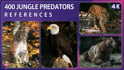 400 Jungle Predators Image Reference Pack – Vol 1