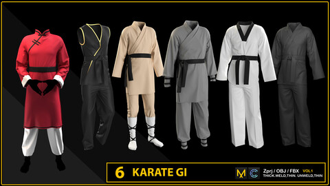 6 KARATE GI