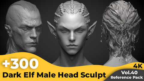 +300 Dark Elf Male Head Sculpt Reference Images(4k)