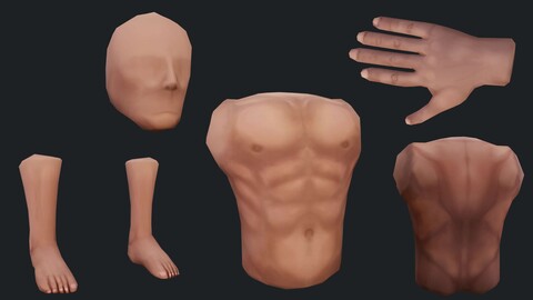 Low Poly Male Character Body