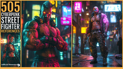 505 cyberpunk street fighter