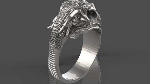 Elephant Ring 3Dprint File