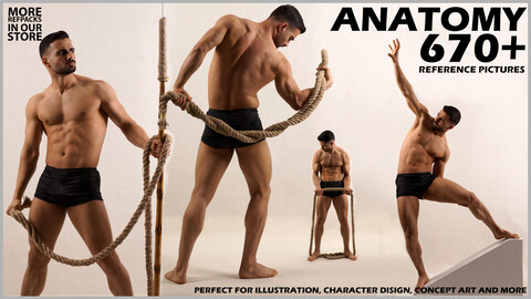 670+ Male Anatomy Poses Reference Pictures . No Ai