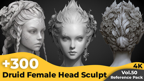 +300 Druid Female Head Sculpt Reference Images(4k)