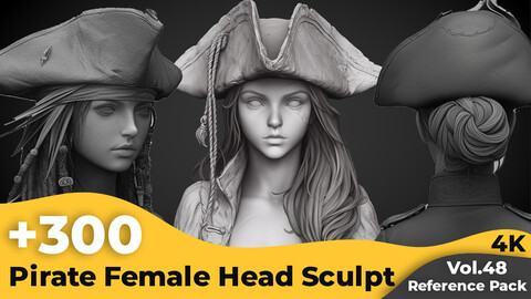 +300 Pirate Female Head Sculpt Reference Images(4k)