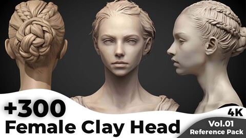 +300 Female Clay Head Sculpt Reference Images(4k)