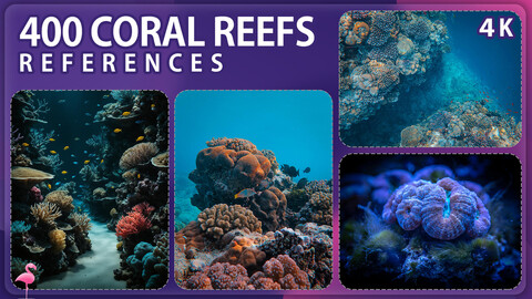 400 Coral Reefs Image Reference Pack – Vol 1