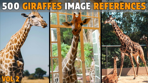 500 Giraffes Photo References - Vol 2