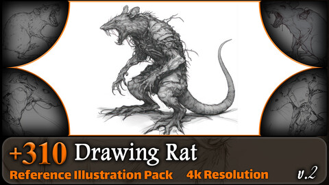 310 Drawing Rat Reference Pack | 4K | v.2