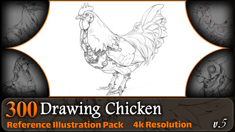 300 Drawing Chicken Reference Pack | 4K | v.5