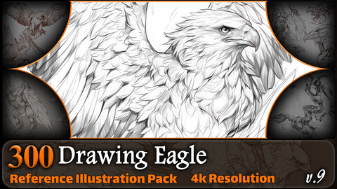 300 Drawing Eagle Reference Pack | 4K | v.9