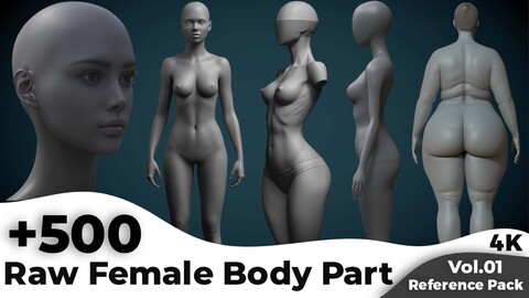 +500 Raw Female Body Parts Reference Images(4k)