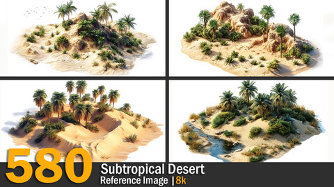 Subtropical Desert | Reference Images | 8K