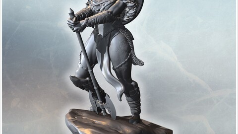 Female warrior with axe, shield, and flowing hair standing on a rocky platform (30) | STL for 3D Printing Printer | Hard Surface