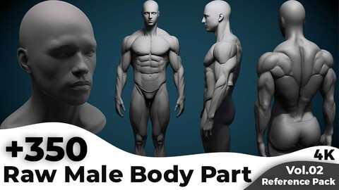 +350 Raw Male Body Parts Reference Images(4k)