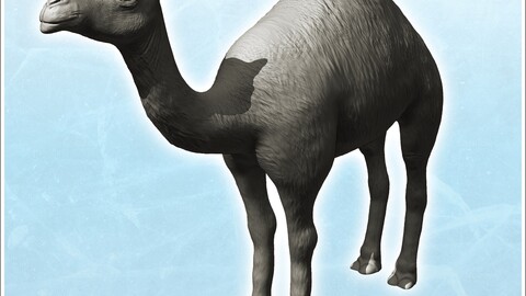 Camel (4) | STL for 3D Printing Printer | Hard Surface