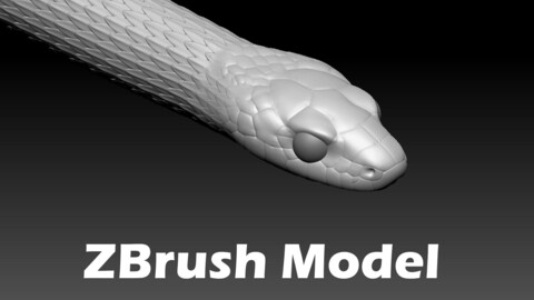 Garter Snake Zbrush Model