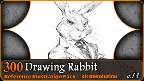 300 Drawing Rabbit Reference Pack | 4K | v.13