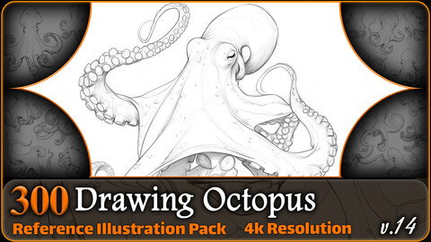 300 Drawing Octopus Reference Pack | 4K | v.14