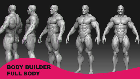 Male Body Builder Anatomy - Full Body