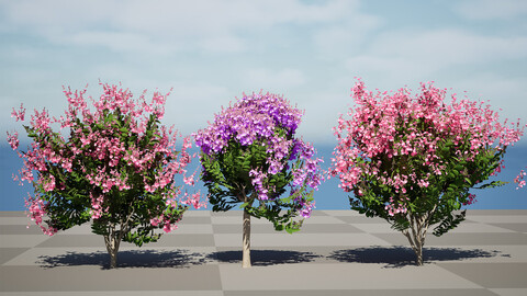 Lagerstroemia Speciosa Tree 3D Model