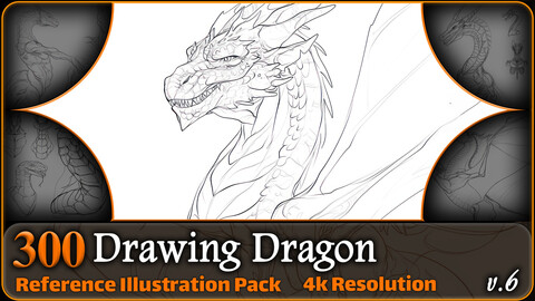 300 Drawing Dragon Reference Pack | 4K | v.6