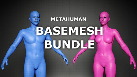 Ultimate Metahuman Male And Female Basemesh Bundle