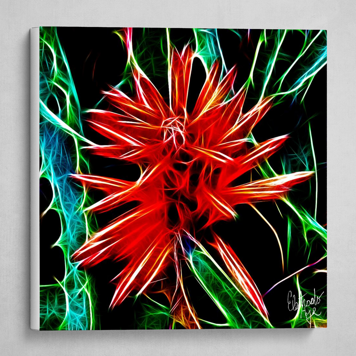 Beautiful Aloe Vera