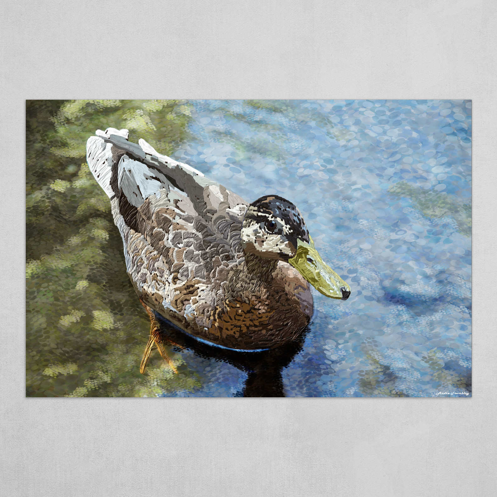 Female duck